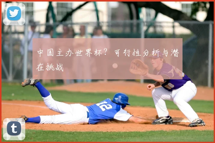 中国主办世界杯？可行性分析与潜在挑战