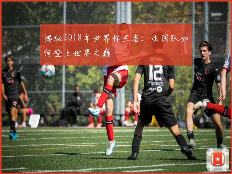 揭秘2018年世界杯王者:法国队如何登上世界之巅