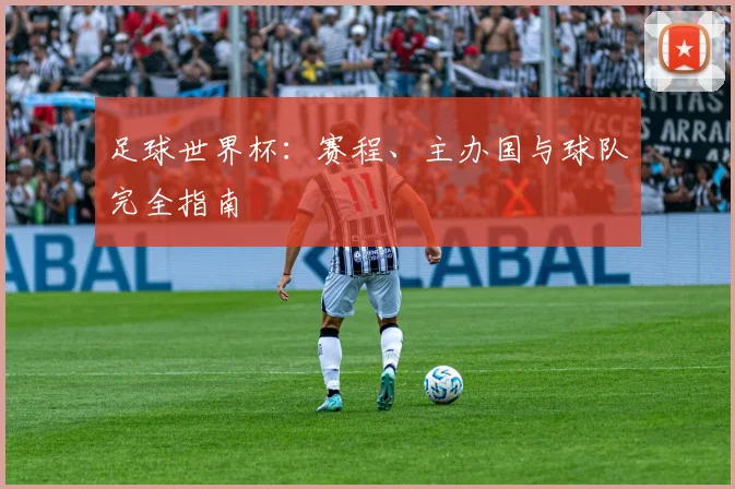 足球世界杯：赛程、主办国与球队完全指南
