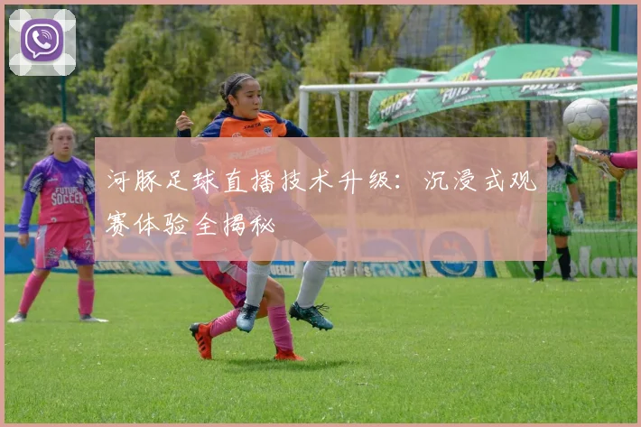 河豚足球直播技术升级：沉浸式观赛体验全揭秘