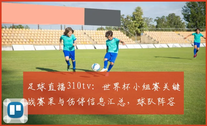 足球直播310tv：世界杯小组赛关键战赛果与伤停信息汇总，球队阵容调整与出线形势影响
